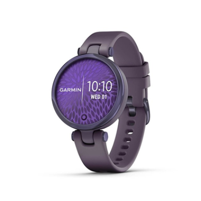 Garmin Lily Metalhazel