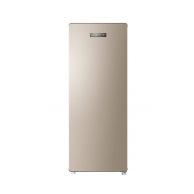 Haier BD-168WL Upright Freezer 