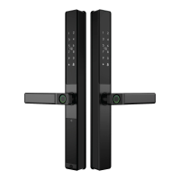 TRIDENT MANTA ULTRA T