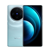 Vivo X100