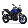 Yamaha MT 25